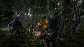 The Witcher 2