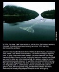 Stories of Sadness