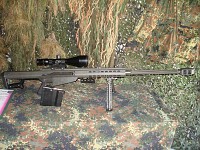Barrett