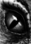 Reptilian eye