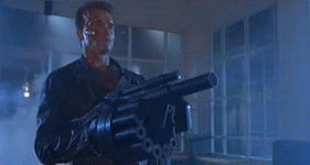 you been terminated in multiplayer