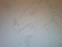 Dragon.