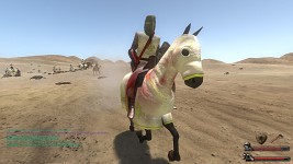 Mount and Blade