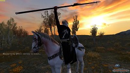 TLD mod