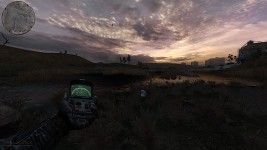 Swamp