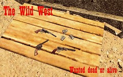 The Wild West