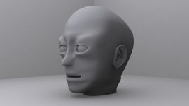Head Model