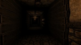 Silent Hallways development