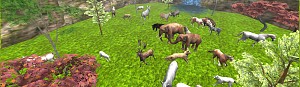 Animal Farm Pasture