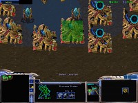 Test: Buildings