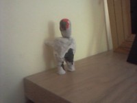 My personal SCP-173