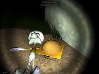 NOO Squiddy
