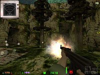 Ingame action