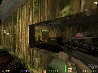 Ingame action