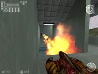 Garg Flamez