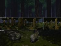 ESF_Giant _Forest