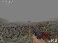 pistol