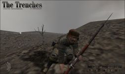 TT1.1 Ad