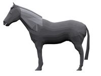 Horsey side on.