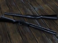 Shotgun