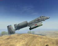 A-10 Thunderbolt II "Warthog"