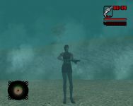 Weapons In-game