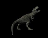 Mrs Rex