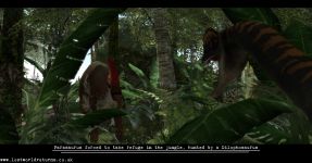 LWR Confrontation 