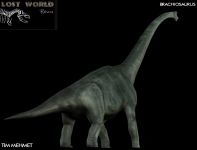 Brachiosaurus Spotted