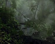 Jungle WIP