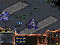 Hell Zerg Firerisers