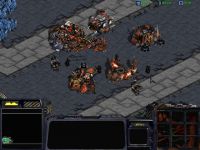 Infested Terrans Ingame!