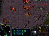 Zerg Vs The other Zerg.