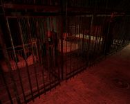 Prison Escape