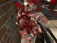 Boom Headshot