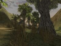 Forest *WIP* screenshot