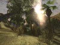 Forest *WIP* screenshot 2
