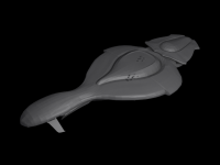 CCS (another image)