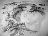Crator