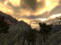 Forest demo