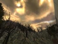 Forest demo