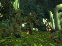 Thorn Walkers