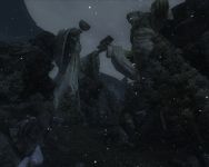 Sentinels