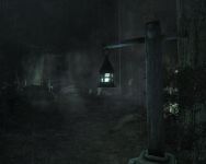 Dark forest