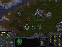 New Terran Infantry