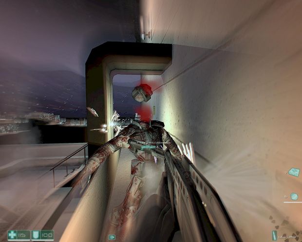 ingame 1
