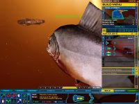 Pinanha Interceptor