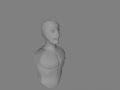 W.I.P Human