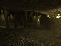 The Wolfden
