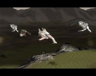 Some Models In Game